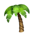 palm"